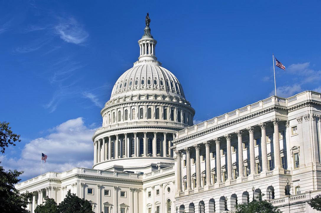 US Capital in Washington,DC.